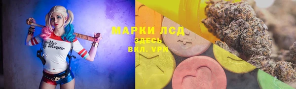 гашик Алексеевка