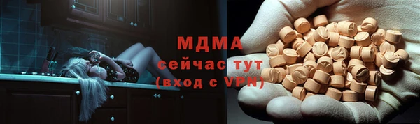 гашик Алексеевка
